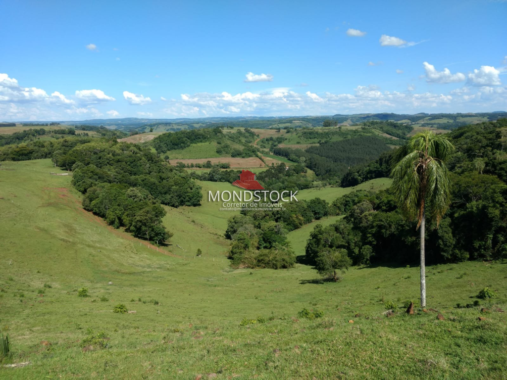 Área Rural próximo a Coronel Vivida