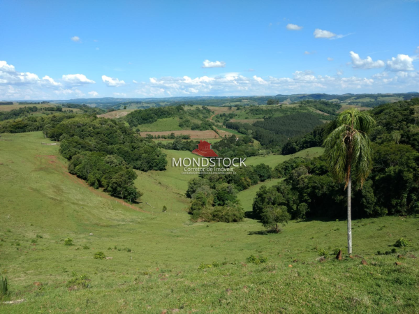 Área Rural próximo a Coronel Vivida