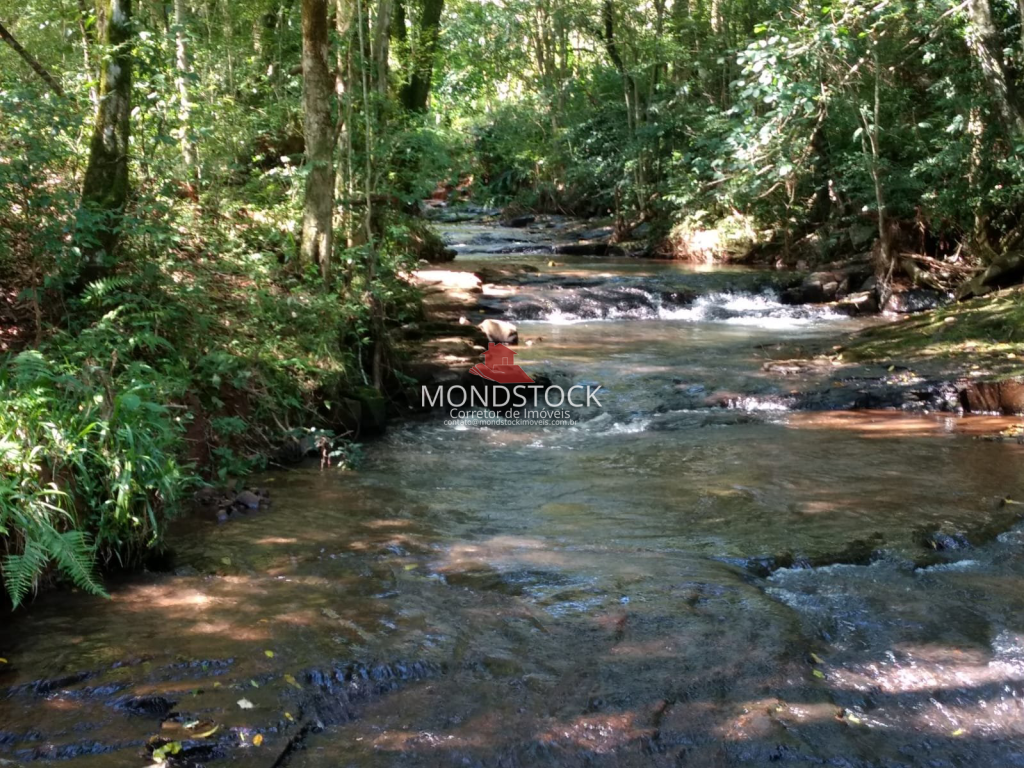 Área Rural próximo a Coronel Vivida